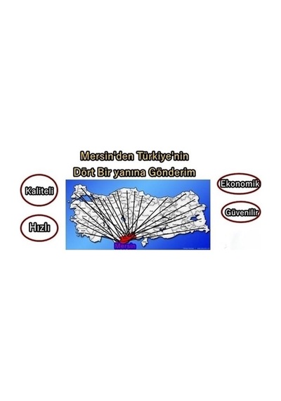 1 1/4 İnc 304cr Termovat Isıtıcı 380v Trifaze 30cm 6kw Termostatsız
