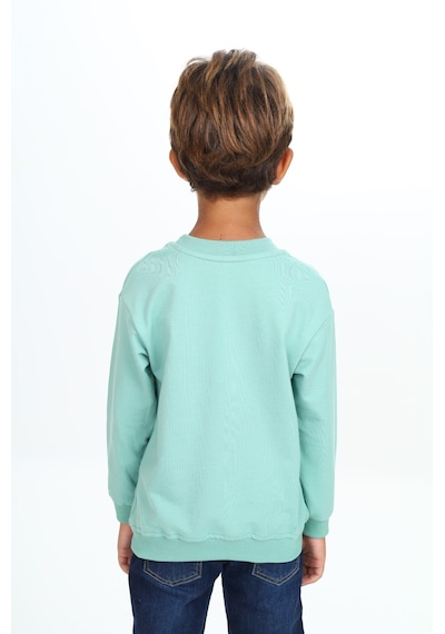 Toontoy Kids Toontoy Erkek Çocuk Relax Fit Bisiklet Yaka Hafif Düşük Omuz Baskılı Sweatshirt - 2 İplik Yeşil