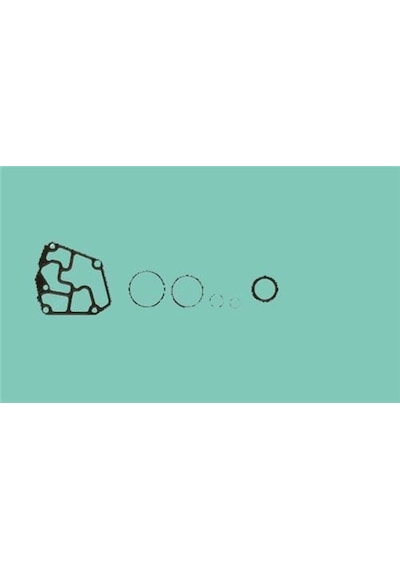 REINZ 08-31414-03 MOTOR TAKIM CONTA ALT GOLF IV BORA / A3 / TOLED