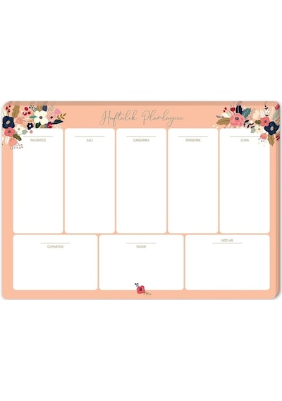 Keskin Color 17X24 Haftalık Planner - Pudra