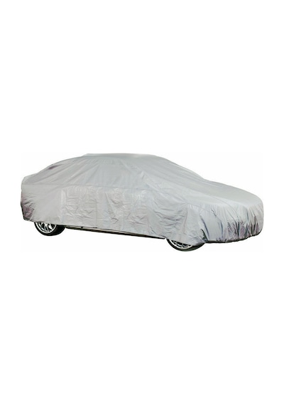 Ford Cargo Oto Branda (548267777)-