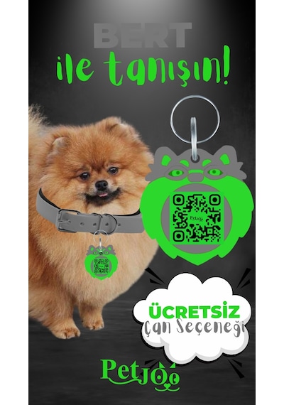 Petjoo 13.Bert Yeşil-Gri Qr'lı Köpek Künyesi