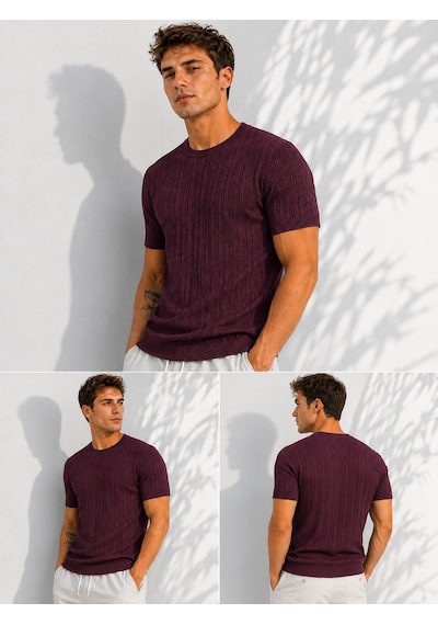 Ribana Erkek Bisiklet Yaka Kısa Kollu Esnek Örme Triko T-shirt 26091 Mürdüm