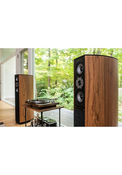 Jamo D 590 Special Edition Walnut Ceviz Kule Tipi Hoparlör Çift ı