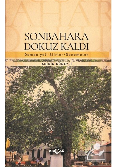 Sonbahara Dokuz Kaldı / Abidin Güneyli