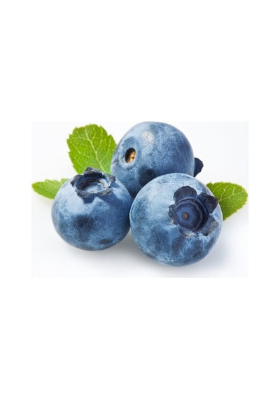 Yaban Mersini Tohumu Blueberry Tohumu 25 Adet Tohum