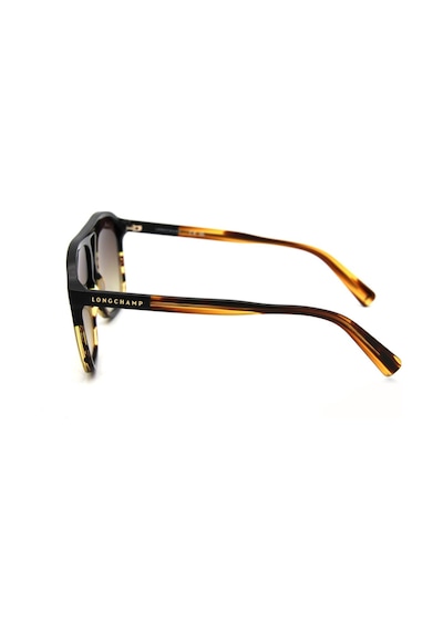 Longchamp Lo 751s C011 Erkek Güneş Gözlüğü Kahverengi