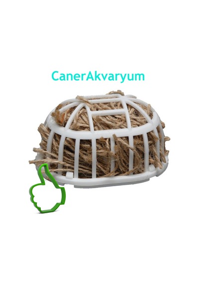 Sepet Kuş Yuva Yapma Kılı
