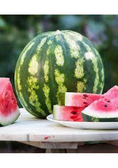 100 Adet Tohum Eko Paket Meşhur Crimson Sweet Karpuzu Tohumu