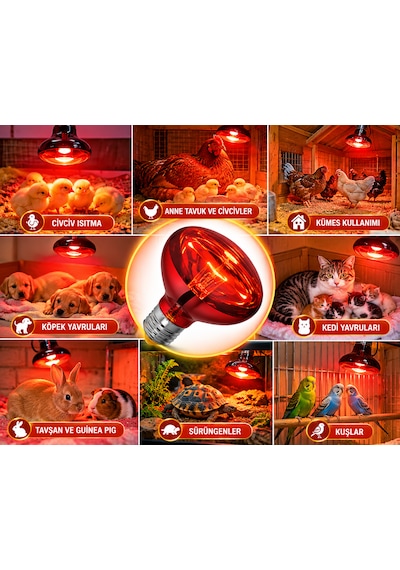 Isıtıcılı Ampul Infrared 250w Kırmızı Işık