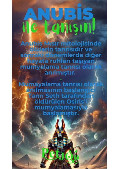 Petjoo 30.Anubis Yeşil-Mavi Qr'lı Köpek Künyesi