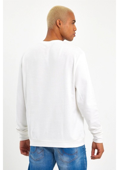 Erkek Bisiklet Yaka Regular Fit Sweatshirt Spr 20k30 001