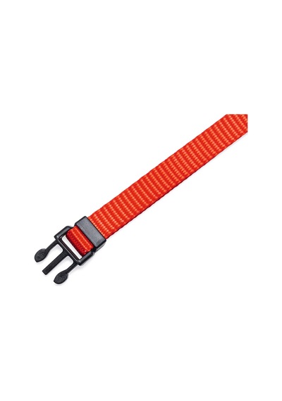 Beeztees Yavru Köpek Boyun Tasması, Çeşitli Renklerde, 22-35cm, 10mm Çok Renkli