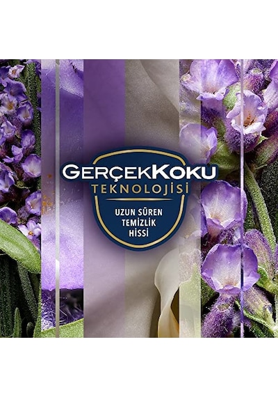 Aerosol Lavanta Ferahlığı Oda Kokusu 300 Ml 1 X 300 Ml Diğer