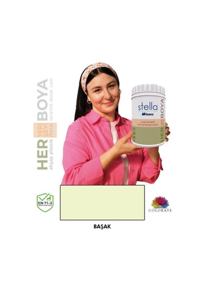 Stella Serisi Yeni Nesil Yüzey Dönüşüm Boyası - Başak Diğer