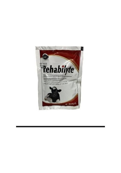 Rehablyte 100 Gr