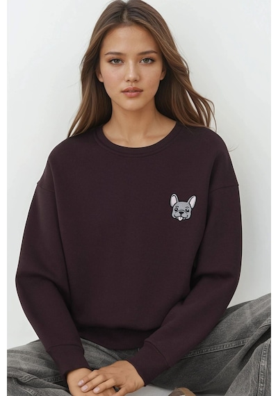 Hiccup Rahat Hayvan Nakışlı Şardonlu Bisiklet Yaka Hoodie Kestane Kahvesi