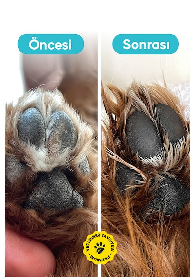 Petissimo Care Kedi Ve Köpek Pati Temizleme Köpüğü- 200 Ml