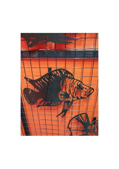 Calvus Işıklı 50cm