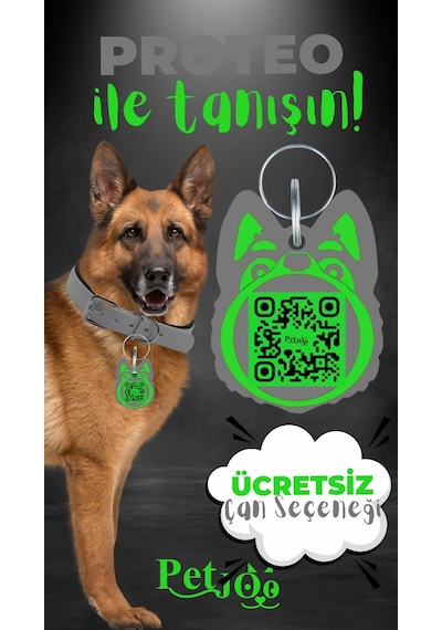 Petjoo 24.Proteo Yeşil-Gri Qr'lı Köpek Künyesi