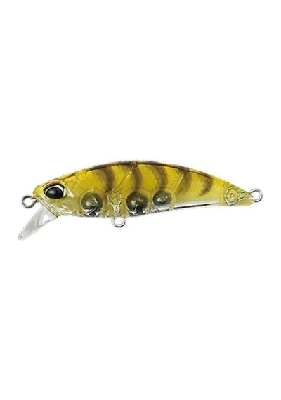 Tetra Works Toto 48Hs Ccc0312 / Gold Shrimp