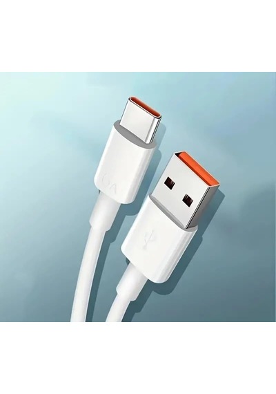 6a 100 W Hızlı Şarj Usb-c Kablosu Standart