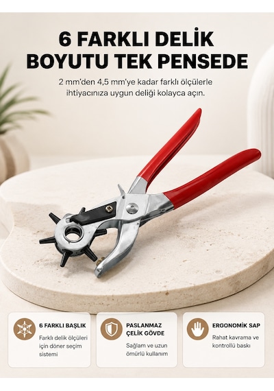 Delme Pensesi 6 Başlıklı Çok Amaçlı Paslanmaz Çelik Ergonomik - Lisinya Çok Renkli 37247693