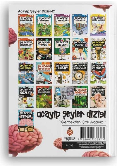 Şu Acayip Beyin N11.79