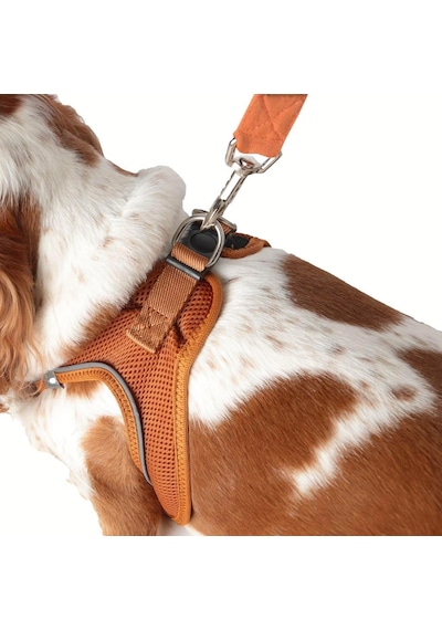 İsimli Köpek Göğüs Tasması Airmesh İsme Özel Göğüs Tasması Ve Gezdirme Kayışı Seti I Küçük Ve Orta Irk Köpekler I Renk Seçenekli Kahverengi, 2xs