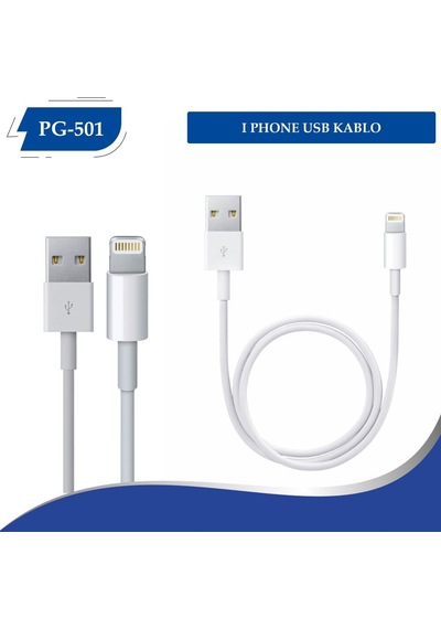 Poly Gold Pg-501 Birebir Apple Uyumlu iPhone Usb Kablo Kutulu