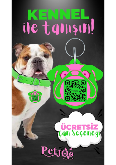 Petjoo 16.Kennel Pembe-Yeşil Qr'lı Köpek Künyesi