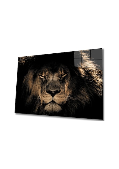 Aslan 14 Cam Tablo