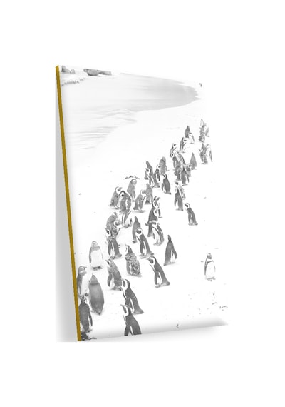 Cakasepetim Beyaz Kumların Üzerinde Penguenler Ahşap Mdf Tablo