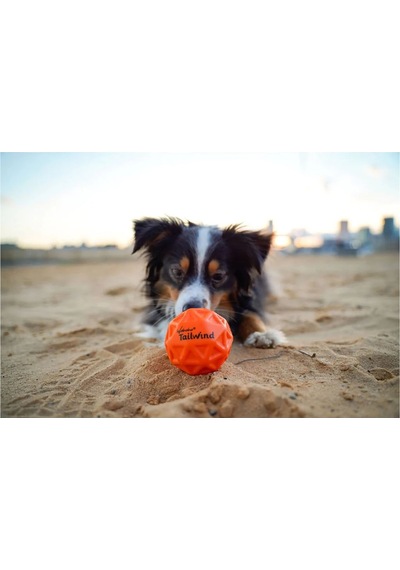 Waboba Tailwind Köpek Oyuncağı Top