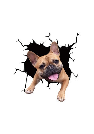 3d Hayvan Desenli Pitbull Köpek Figürlü Sticker Etiketi