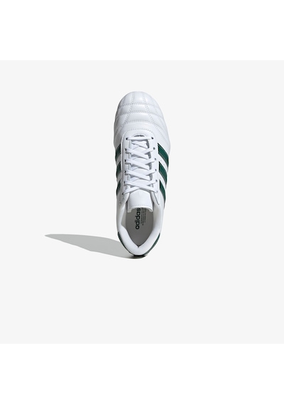 Adidas Taekwondo Lace Kadın Beyaz Spor Ayakkabı Jp8145