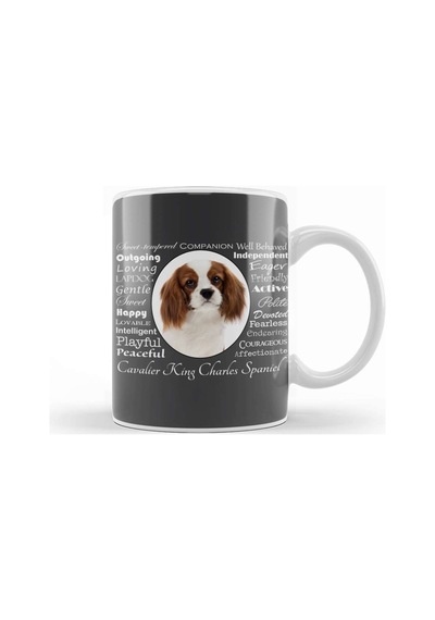 Cavalier King Charles Spaniel Spaniel Traits Kupa Bardak Porselen Karışık