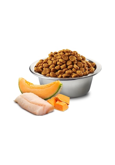 N&D Ocean Morina Balığı Bal Kabağı ve Kavunlu Yavru Köpek Maması 2500 G