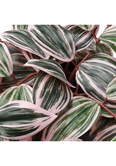 Ikea Fejka Yapay Bitki, Yeşil, 12 Cm, İç/dış Mekan Tradesceantia