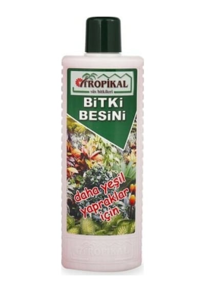 Tropikal Besin Bitkisi 6 Adet
