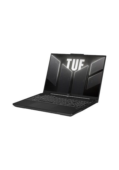 Asus Tuf Gaming FX607VU-RL146 FR32 Intel Core 5 210H 32 GB 2 TB RTX405016" Free Dos Dizüstü Bilgisayar
