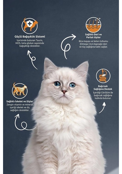 Reflex Sterılsed Salmon & Rıca Aduldt Cat Food 10 Kg Rfl-114 Diğer