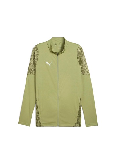 Puma Teamcup Training Jacket Erkek Futbol Antrenman Ceketi 65916540 Haki Haki