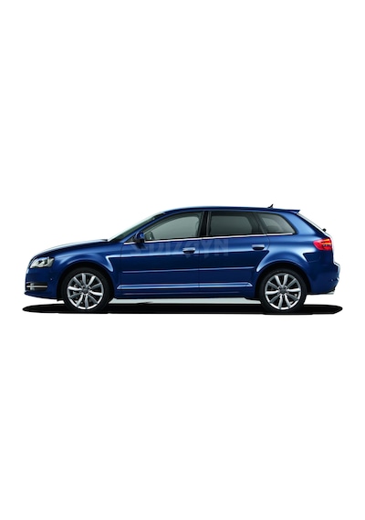 S-Dizayn Audi A3 Krom Cam Çıtası 6 Prç 2004-2012