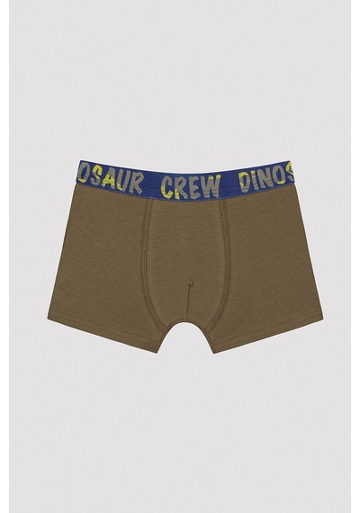 Penti Erkek Çocuk Dinosur Crew Slogan Baskılı Boxer Çok Renkli