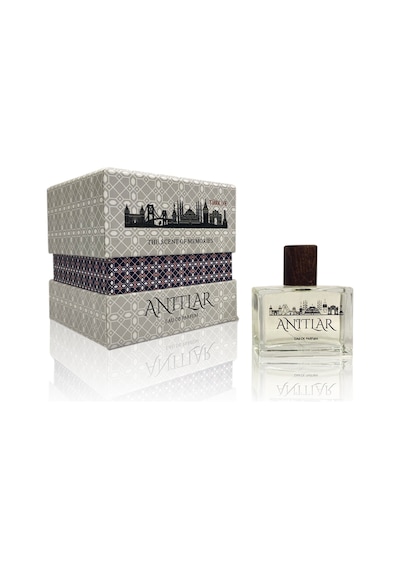 Zayna Anıtlar Silver Erkek Parfüm EDP 50 ML