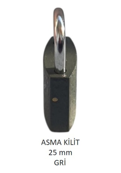 Adilon Asma Kilit, 25 Mm Gri