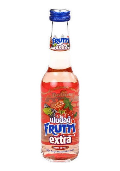 Uludağ Frutti Extra Orman Meyveli 250ml