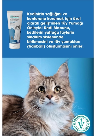 Tr Pharma Anti-hairball Kedi Tüy Yumağı Önleyici Malt Macun Tüy Yumağı Oluşumunu Önleyici