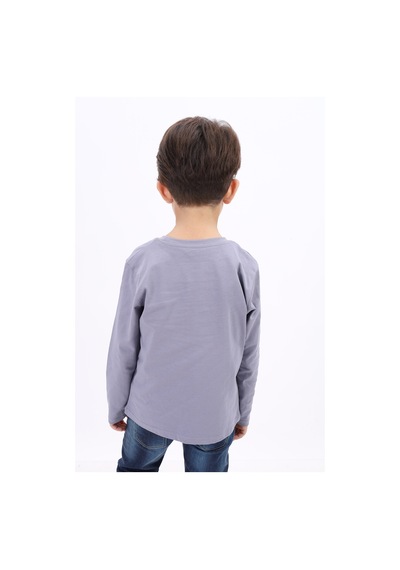 Toontoy Kids Toontoy Erkek Çocuk Baskılı Tişört Gri